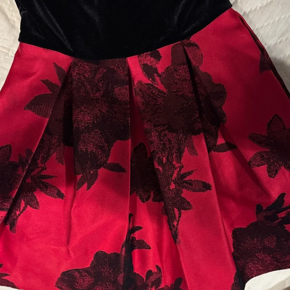 Teeze Me Black and Red Floral Mini Dress 3/4